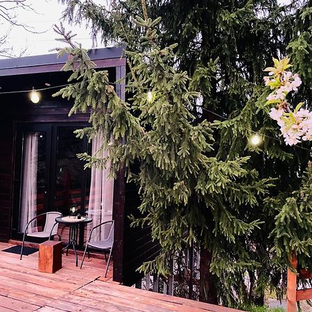 Pensiunea Ioana Borsa  Exterior photo