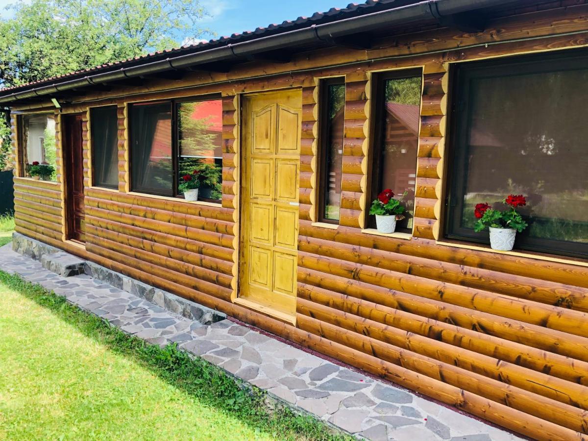 Pensiunea Ioana Borsa  Exterior photo