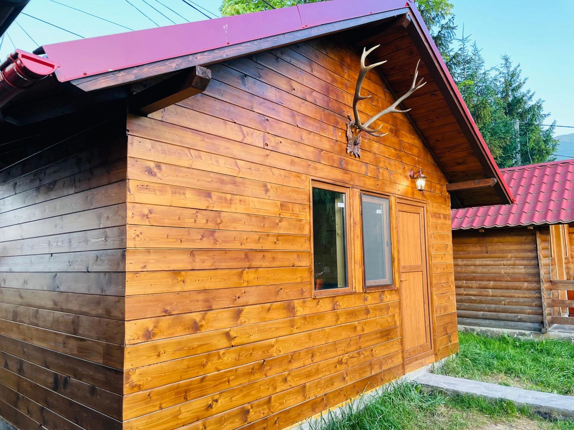 Pensiunea Ioana Borsa  Exterior photo