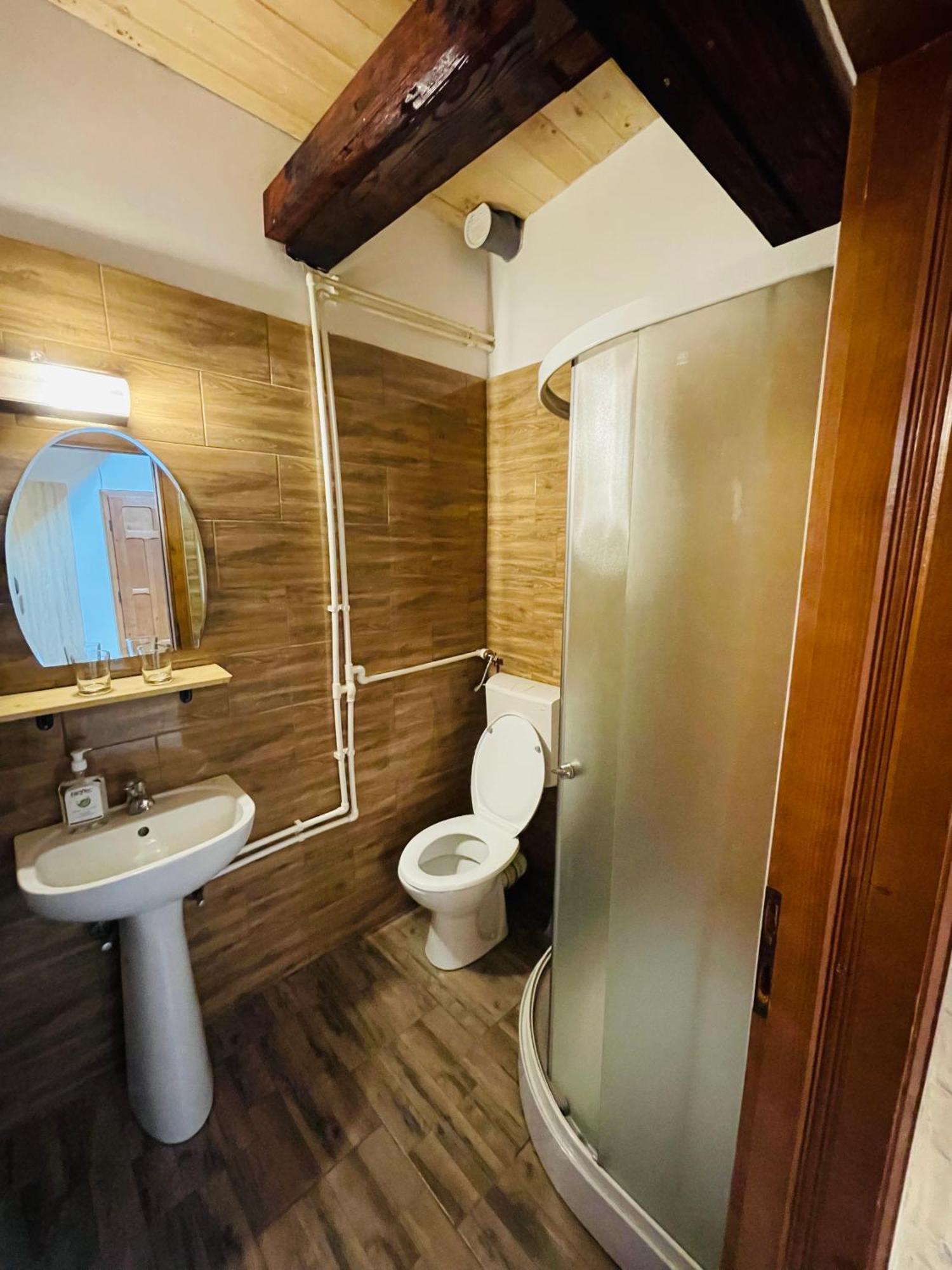 Pensiunea Ioana Borsa  Room photo