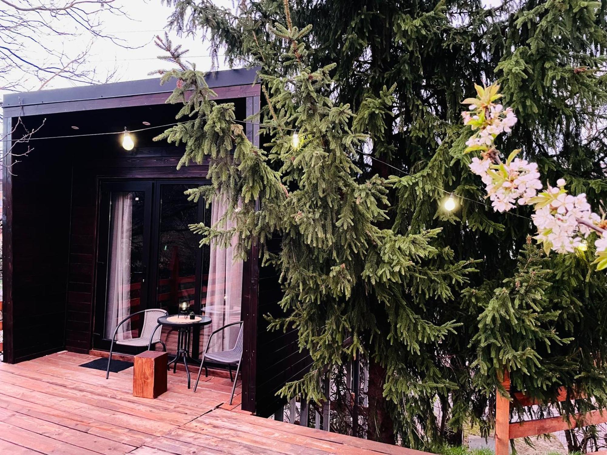 Pensiunea Ioana Borsa  Exterior photo